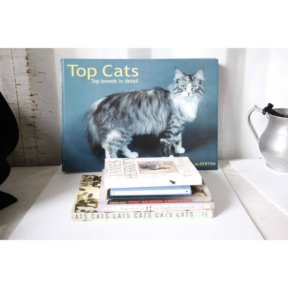 Cat Book Bundle of 6 for the Crazy Cat Lady James Herriot Cat Stories